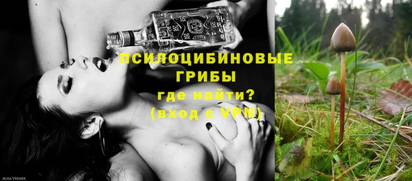 дживик Алексин