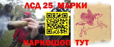 Альфа ПВП Беслан