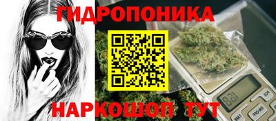 дурь Гай