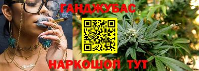 дурь Гай