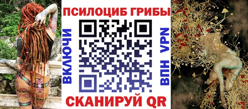 Псилоцибиновые грибы Psilocybe  Добрянка 